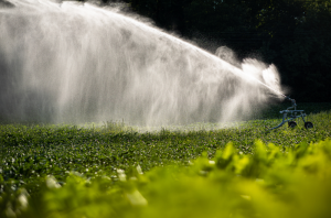 Cum functioneaza sistemele de irigare?