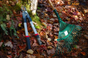 Lucrări de toamnă în grădină – cum să le realizezi și de ce sunt importante