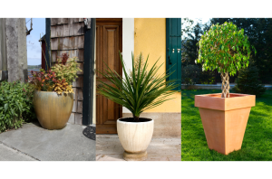 Înfrumusețează-ți Locuința cu Ghivece de Flori: Alegerea Perfectă pentru Casă și Spații Publice